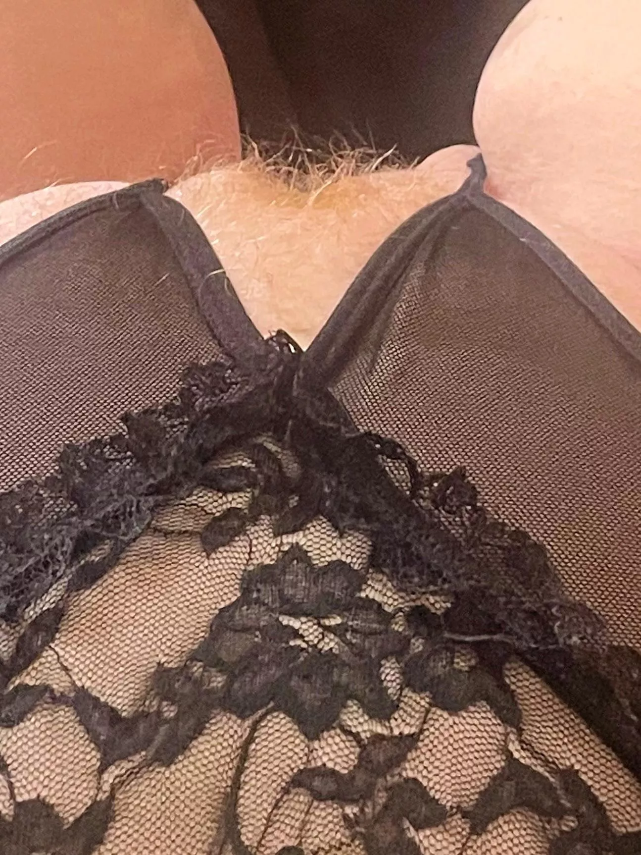 Top view of my finger bush.