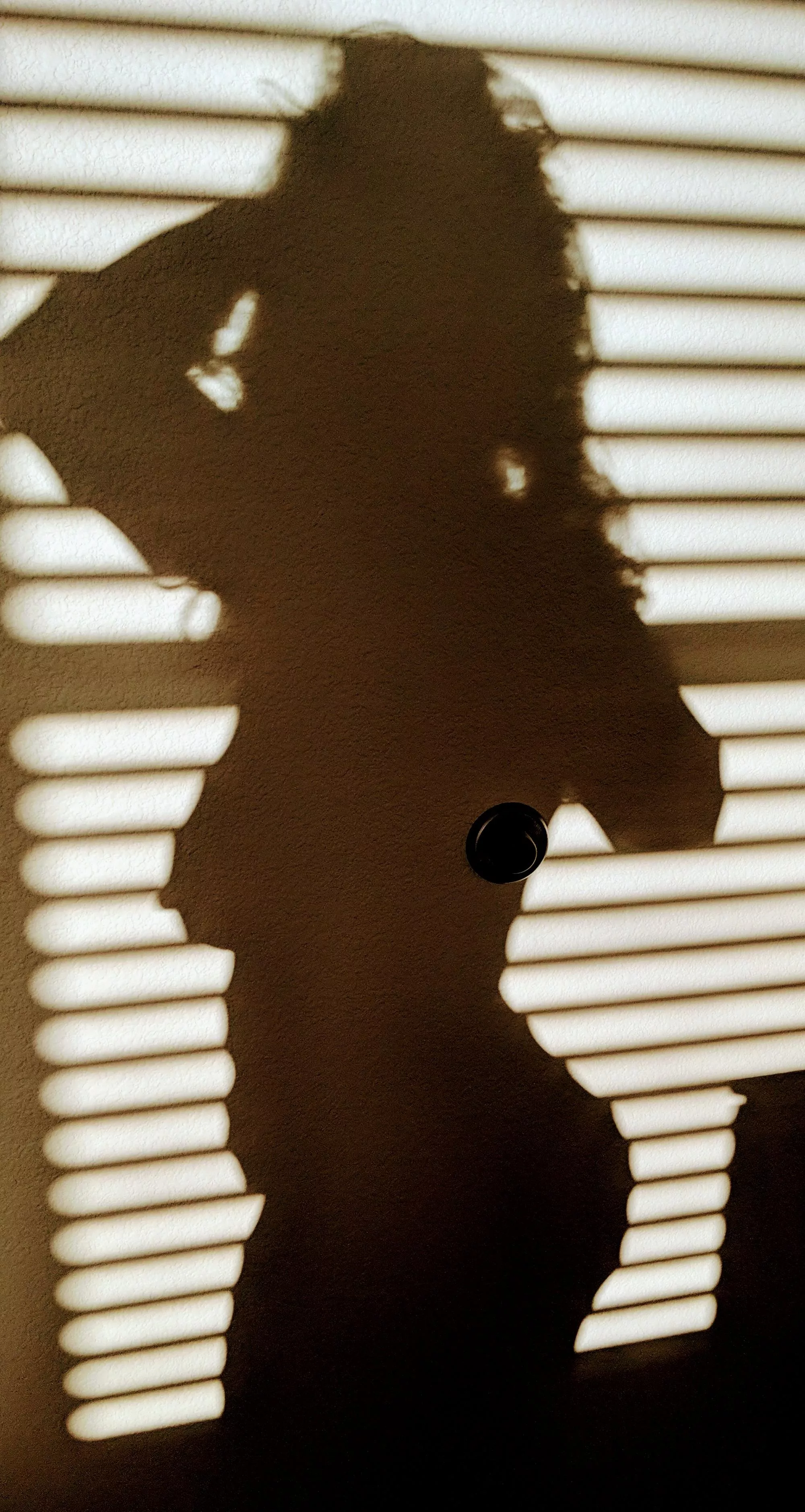 What are your thoughts on slightly chubby shadow moms? She's got a cute mom belly and quite the badonkadonk.