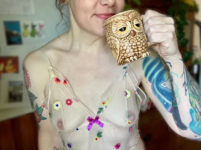 Whooo are you looking at? 🦉