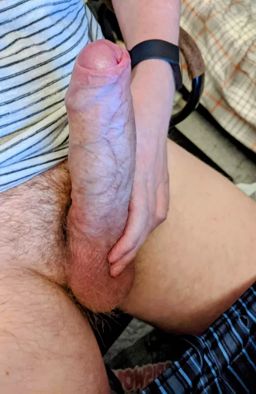 Why is the forbidden fruit always the sweetest