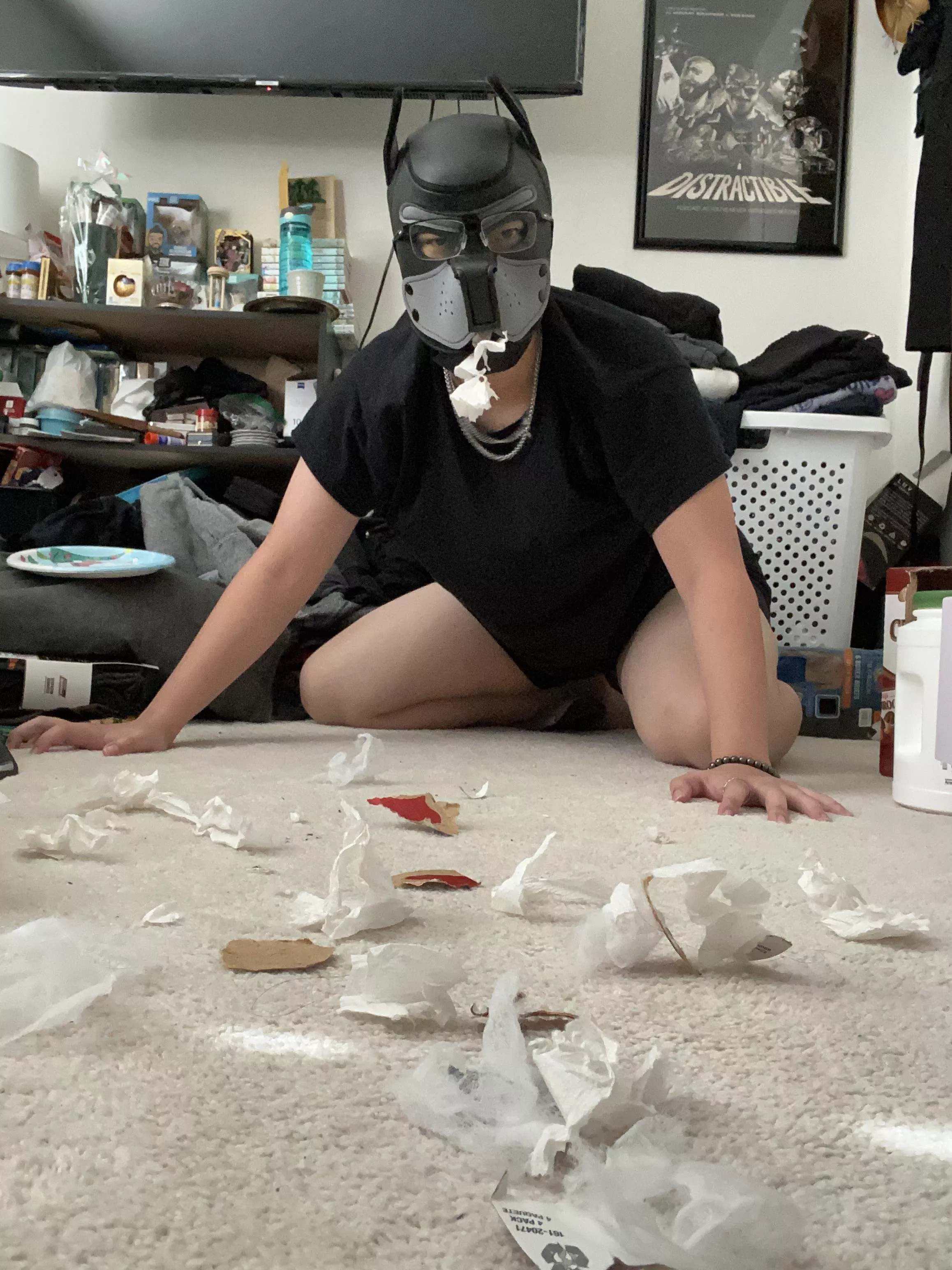 Woof…I didn’t do it-