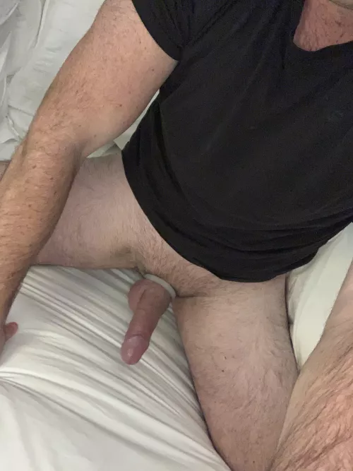 [30] pup needs a collar and owner