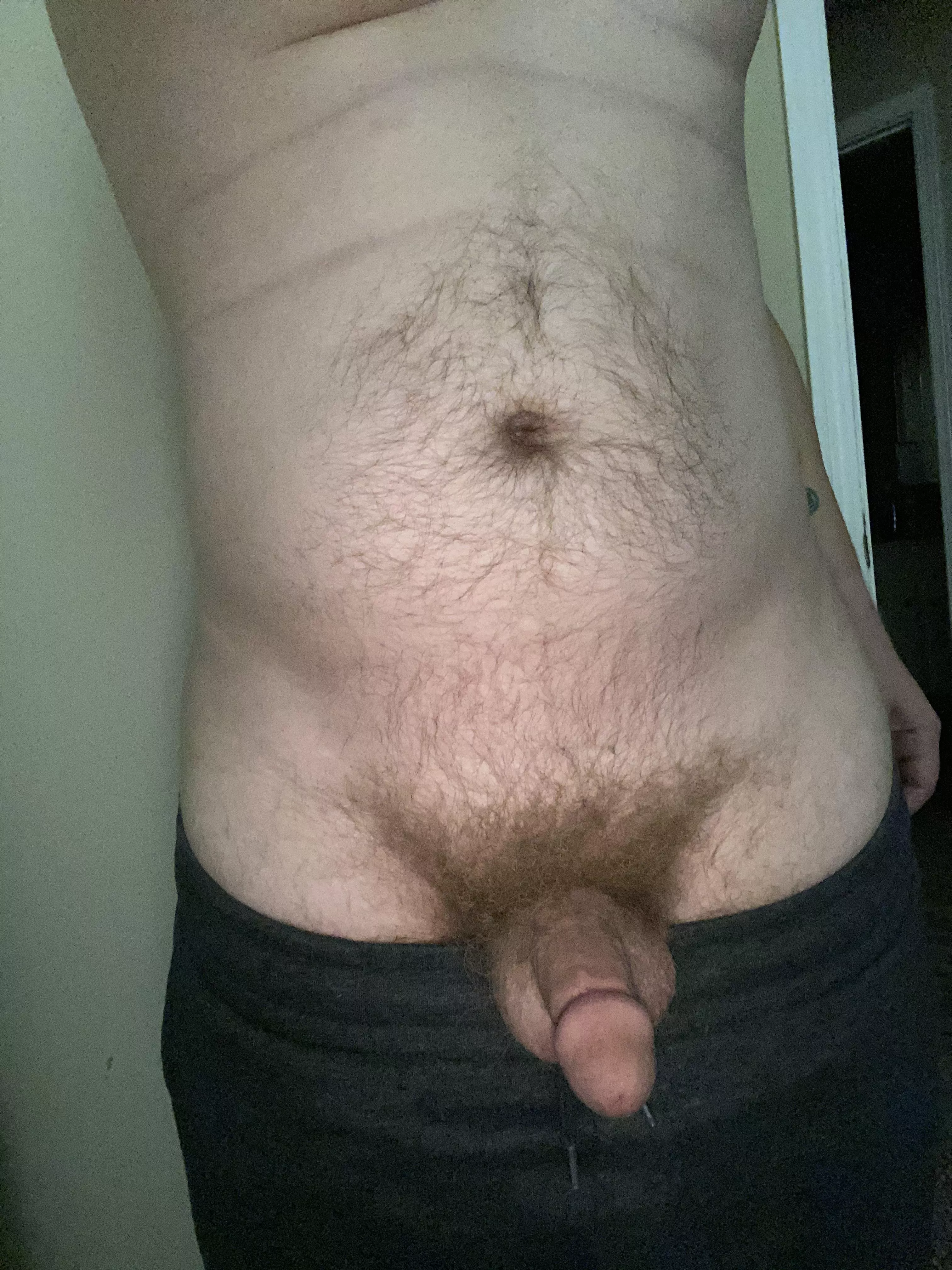 [35] Any country bears/cubs wanna get this country cub cock hard?