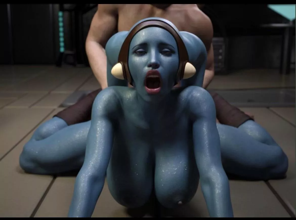 Aayla Secura (artist unknown)