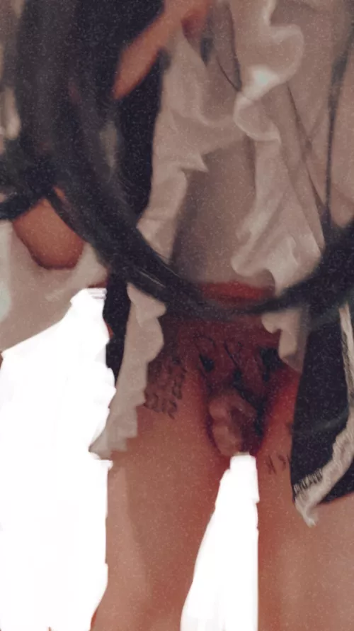 Based on this pic, would you take me?