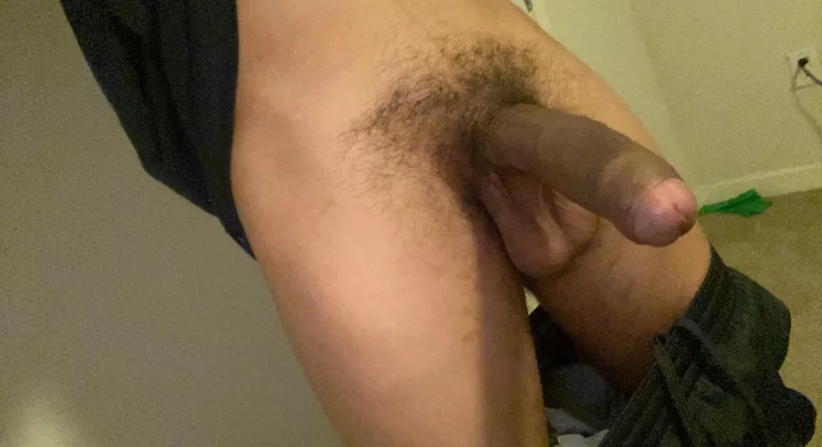 Can I slap this heavy cock on your tongue?