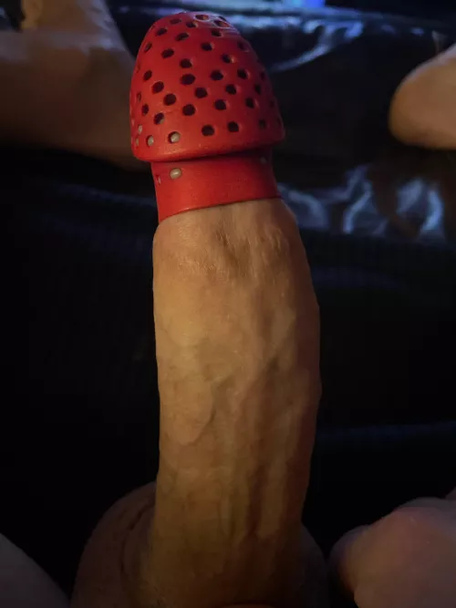 Day 60 and she still hasn’t let me out . Starting to think she might be making it permanent now . Do you think she is seeing some one else and is keeping me this way for a reason