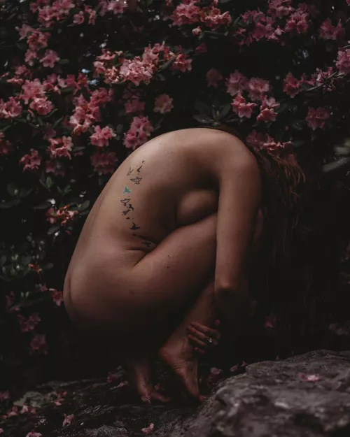 Do you like dark a moody nudies?