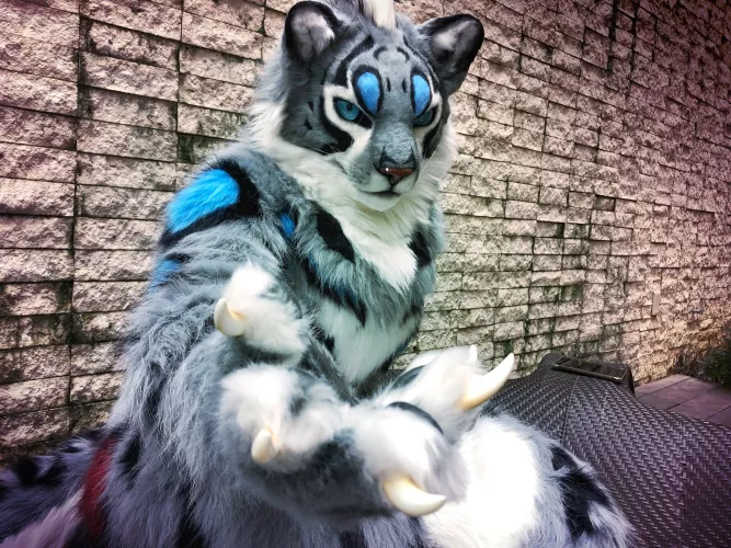 @FeatherRoan says「Hi😼」on Twitter