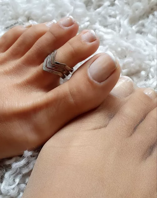 french pedi in panties