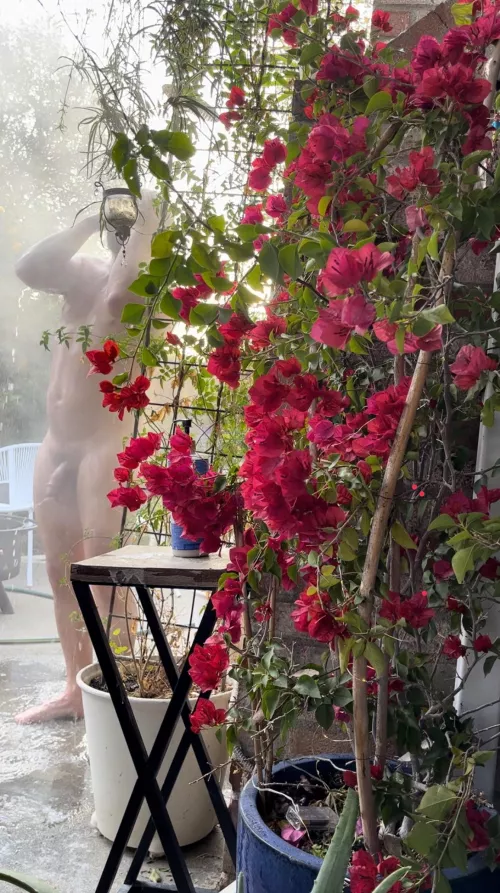 Grateful for our outdoor hot shower for year round enjoyment!