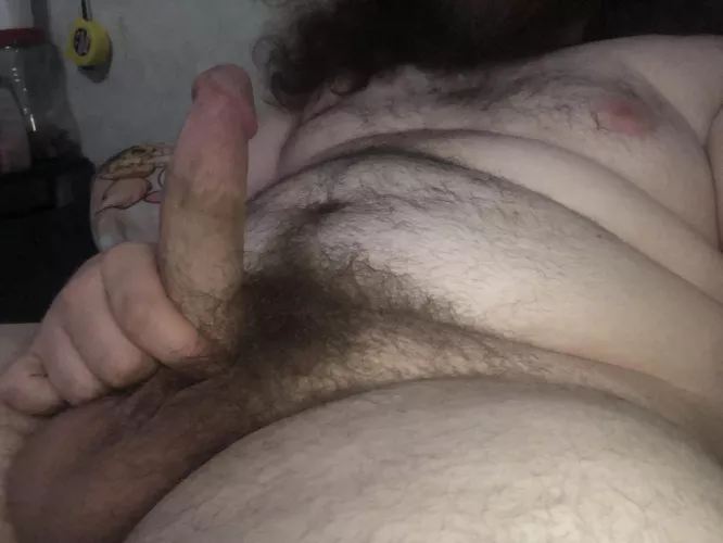 Hairy, hard, and ready to cum. Dms open