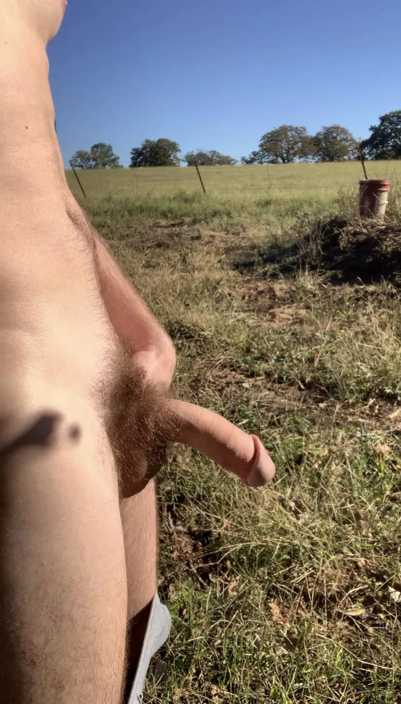 Hanging out at the farm