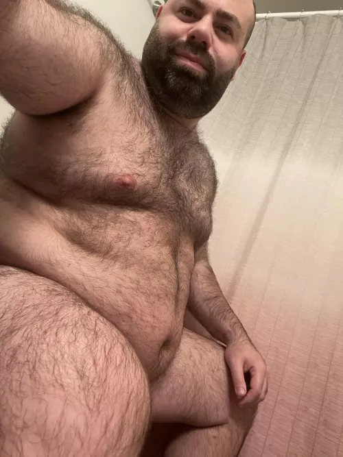 Hello bears lovers 🐻