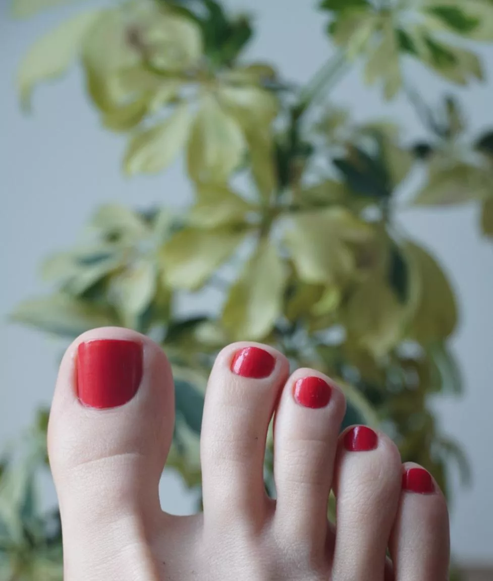 I would say they deserve to be sucked 😌