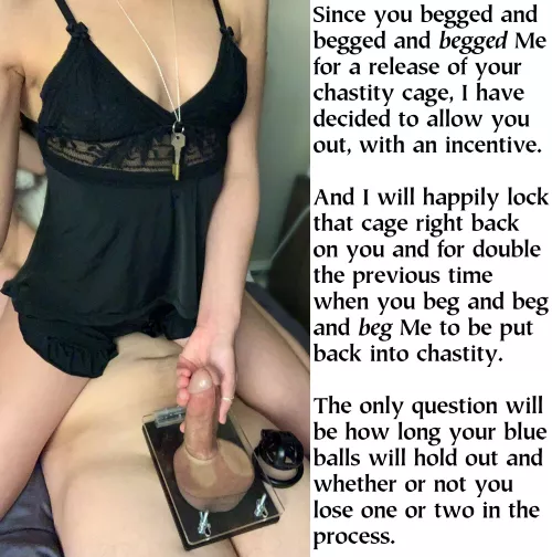 Incentivizing good behavior is an essential part of training the male.