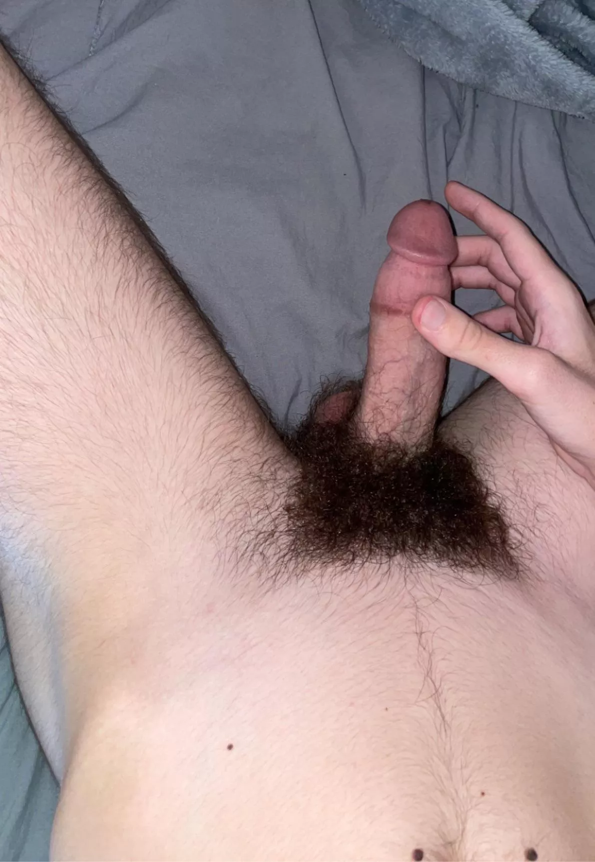 Is the bush too much?