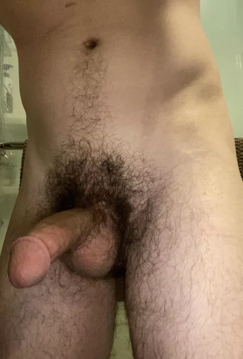 Just another Tuesday.. bush is coming back nicely