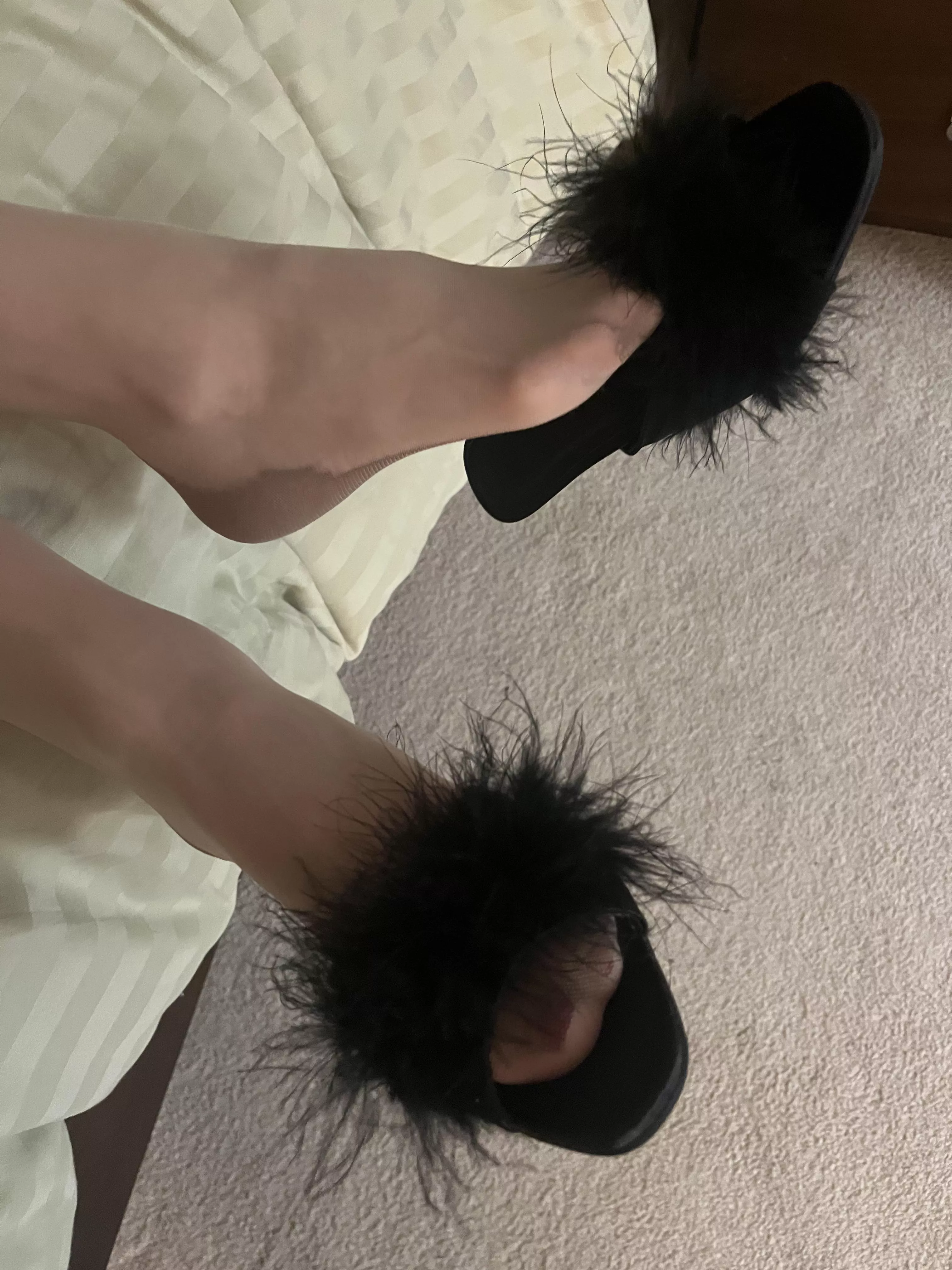 Kitten heels and backseams make me feel like such a classic housewife