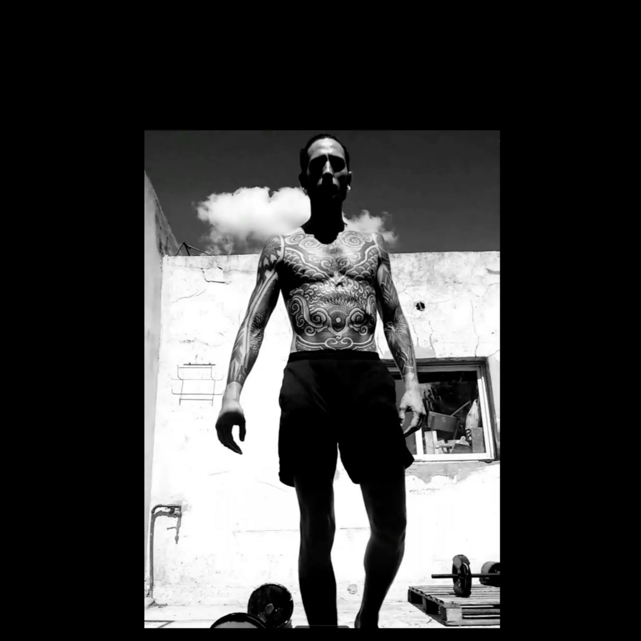 Kneel before your master, now.