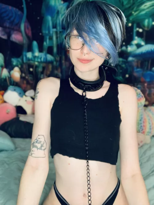 leashed & collared🖤