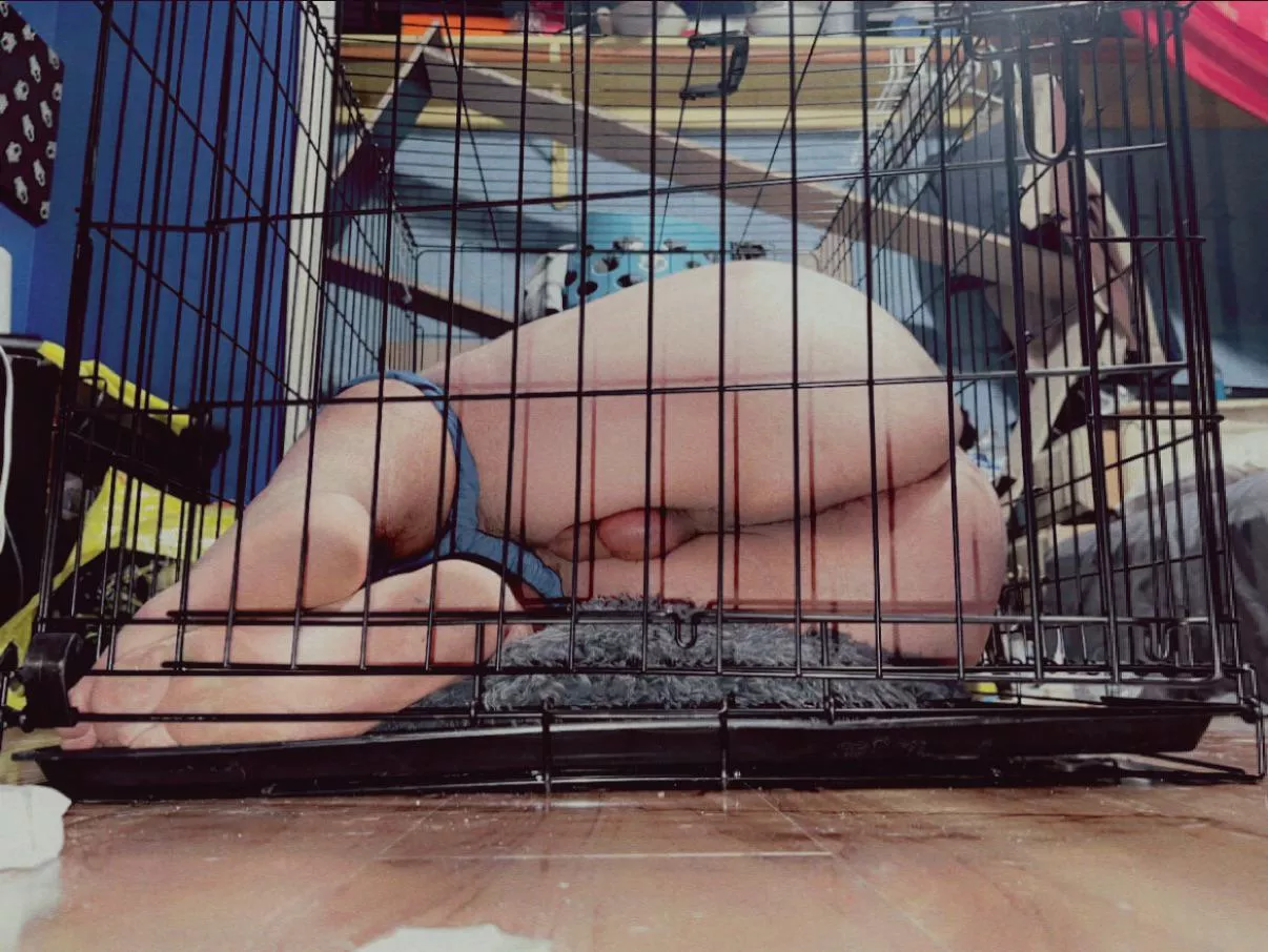 Please let me out🥹