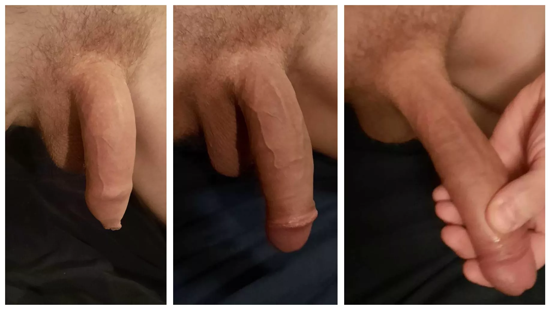 Soft, semi and hard version of my cock, compared