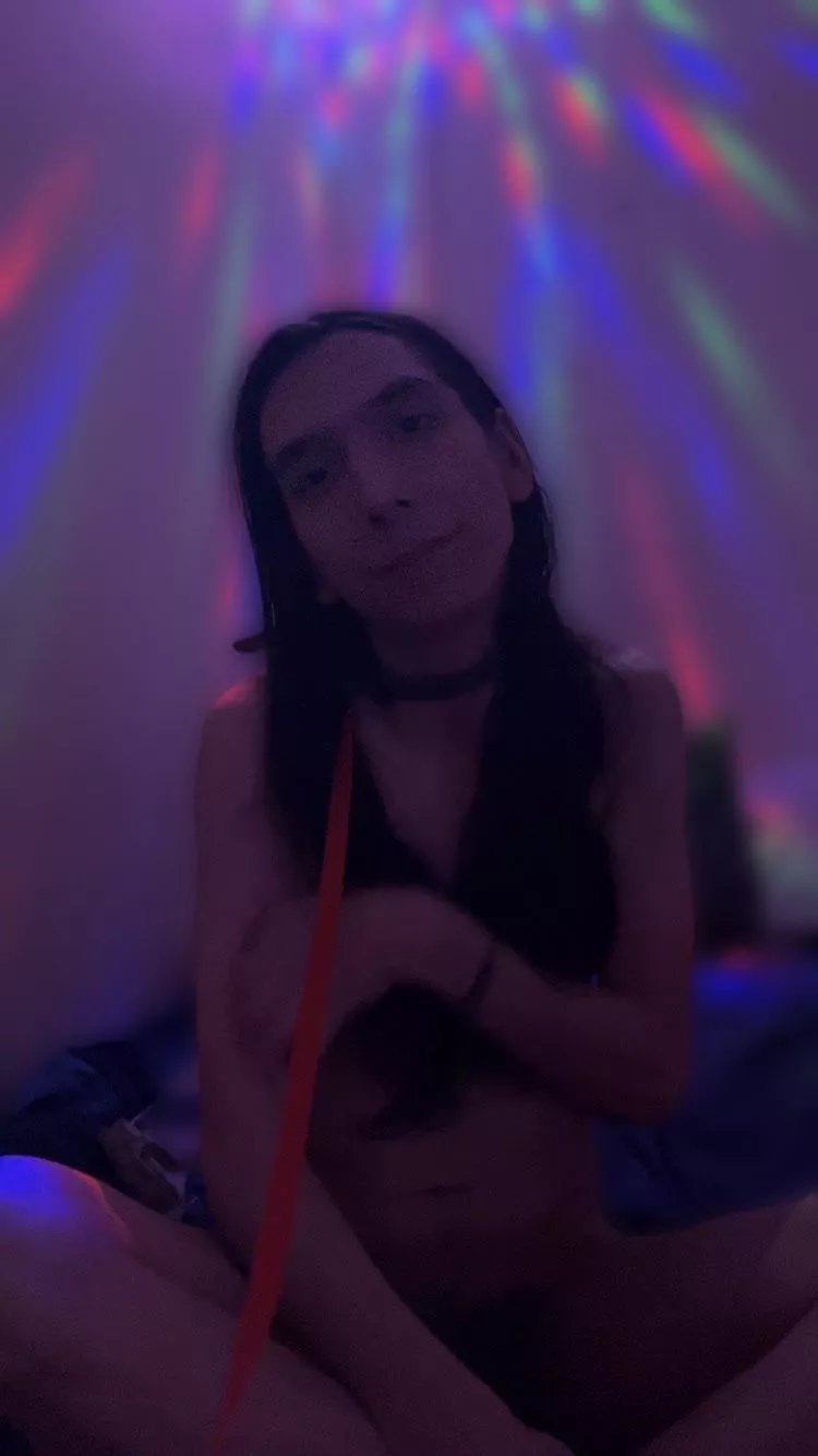 someone please keep an eye on my puppy while I’m away