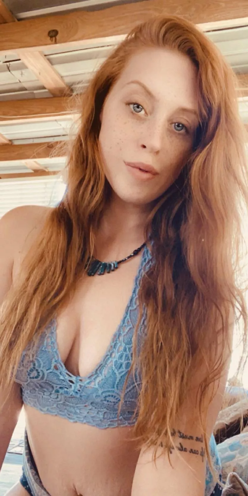 🎶 something in the orange tells me we’re not done 🎶