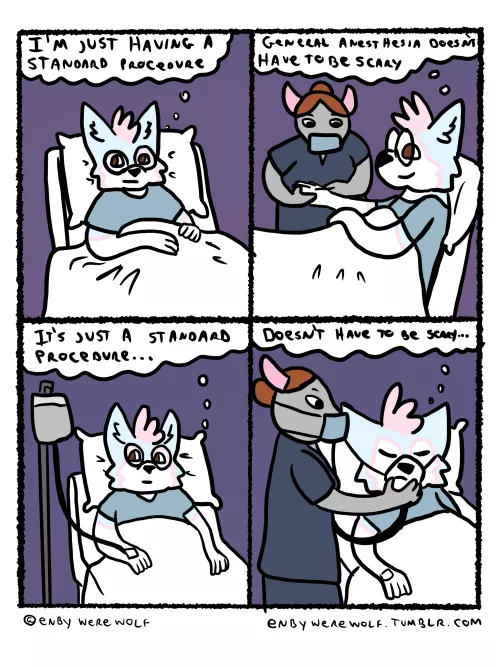 Start of another true story