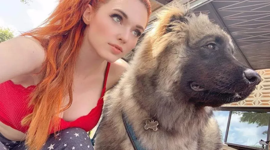 Streaming on Twitch from an Animal Shelter today!