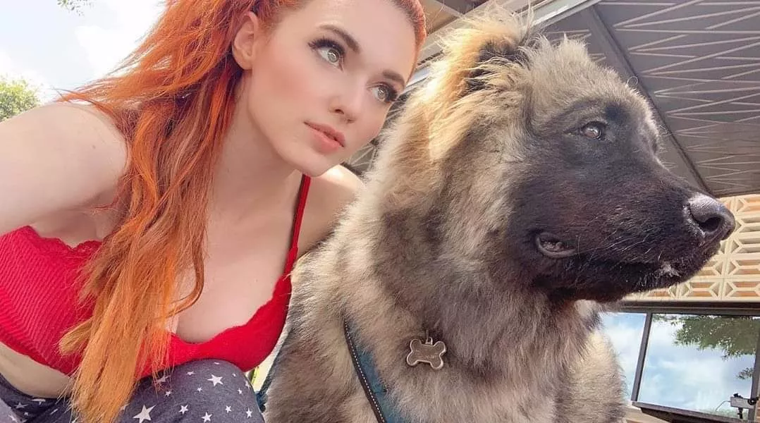 Streaming on Twitch from an Animal Shelter today!