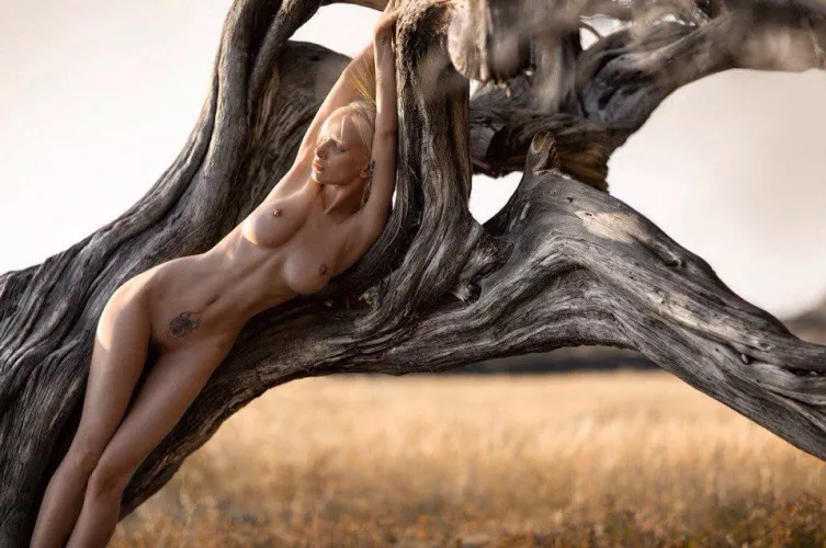 Tender on the outside but passionate on the inside