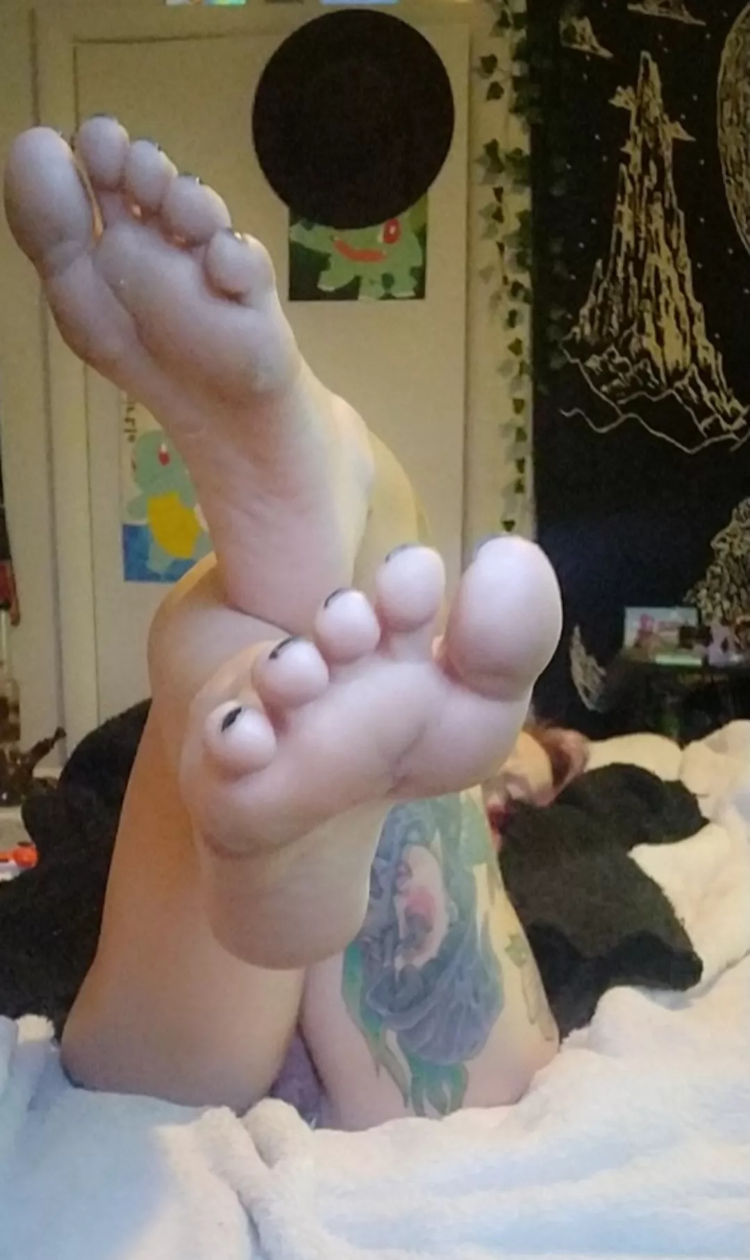 this kitty needs her feet rubbed