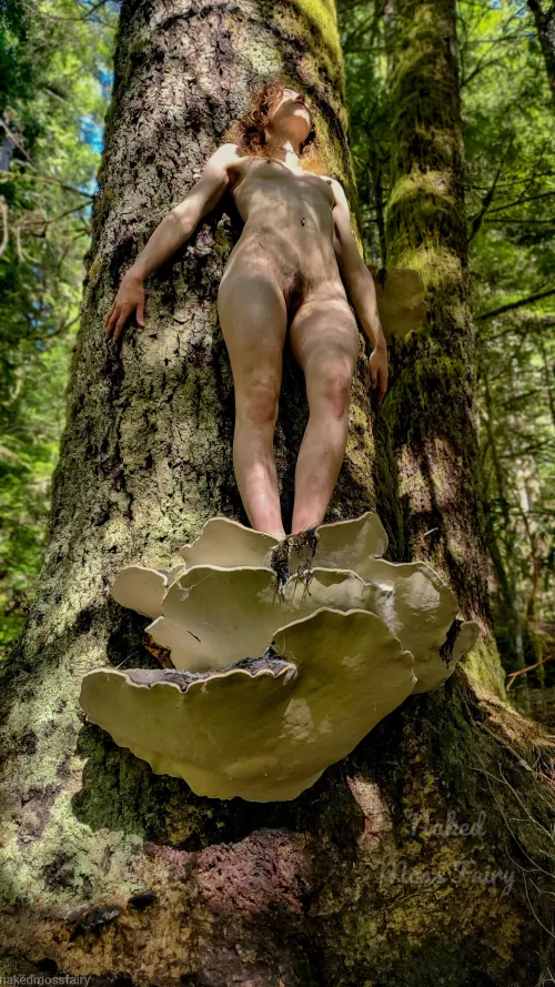 Tiny forest nymph standing on a giant conk🍄🧚‍♀️