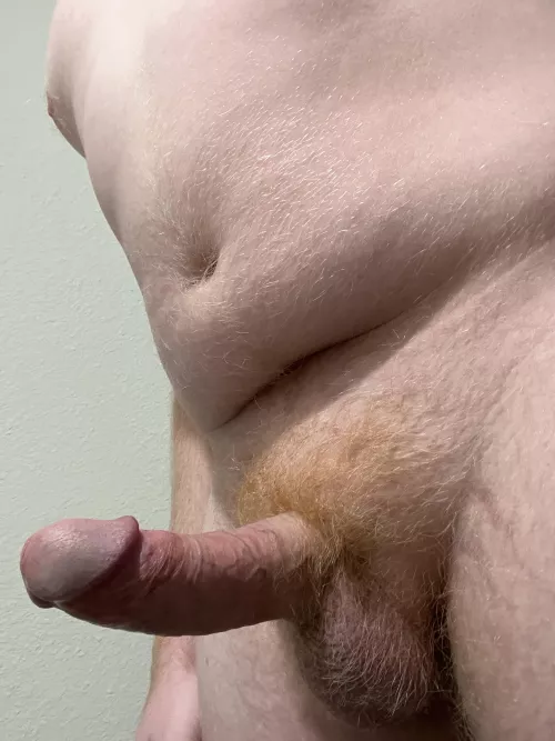 Wishing I could plant some ginger seed, but alas here I am