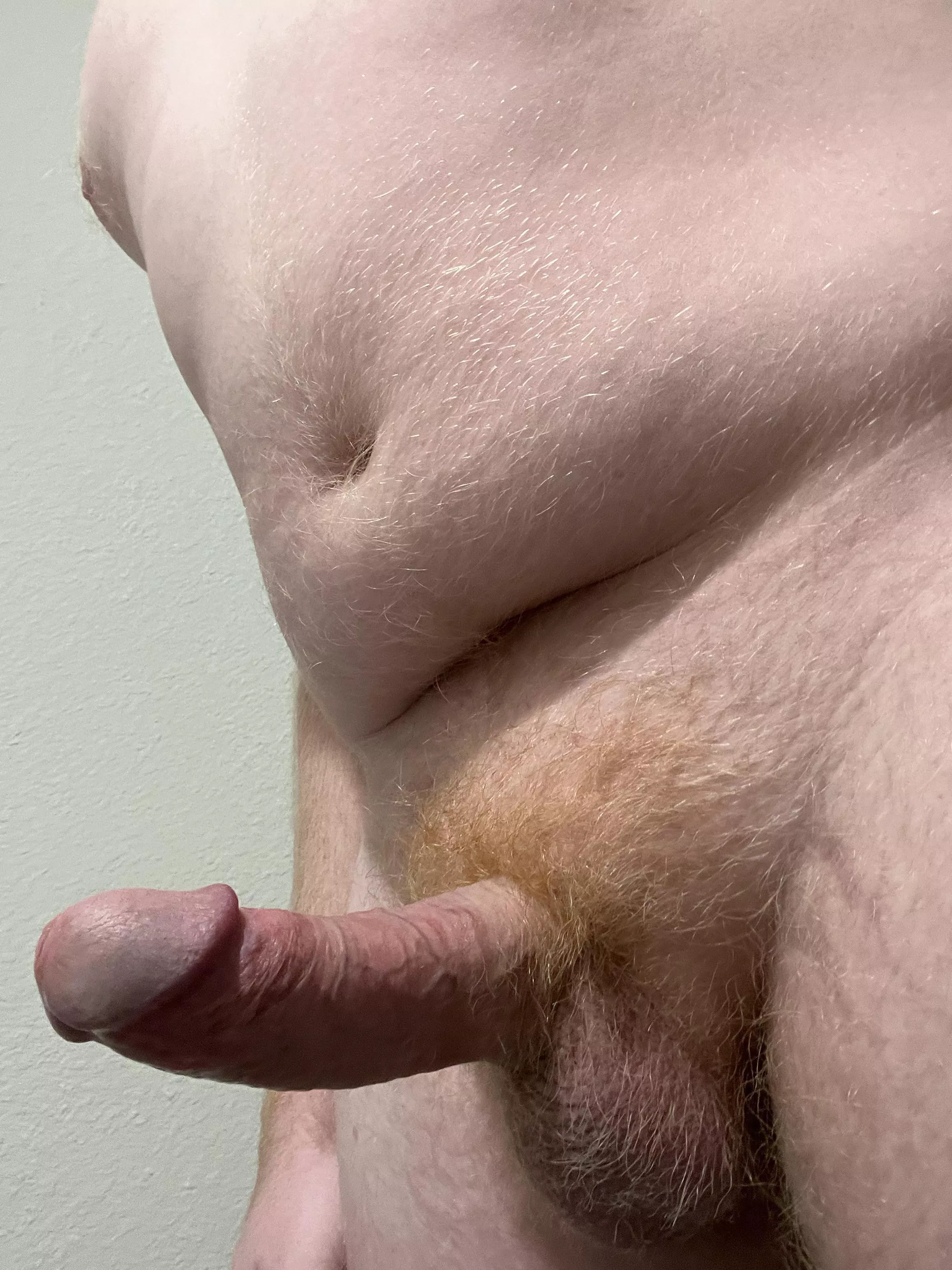 Wishing I could plant some ginger seed, but alas here I am