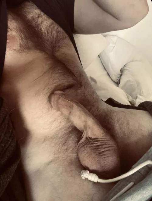 Woke up and need to drain this fat cock. Anyone wanna help?