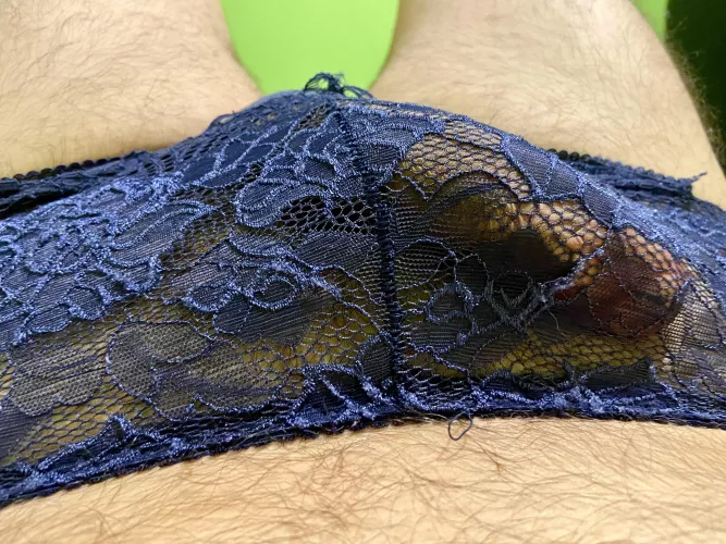 Your comments make me horny, feel free to Dm me