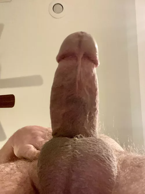Your view right before I cock slap your pretty face.