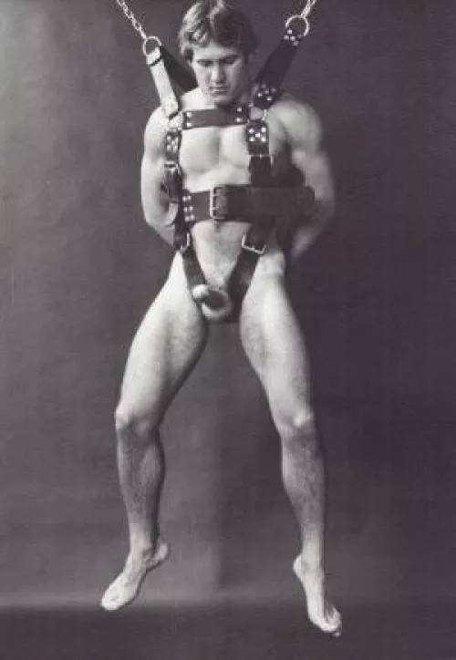 A bit of a predicament…