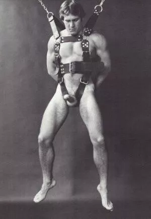 A bit of a predicament…