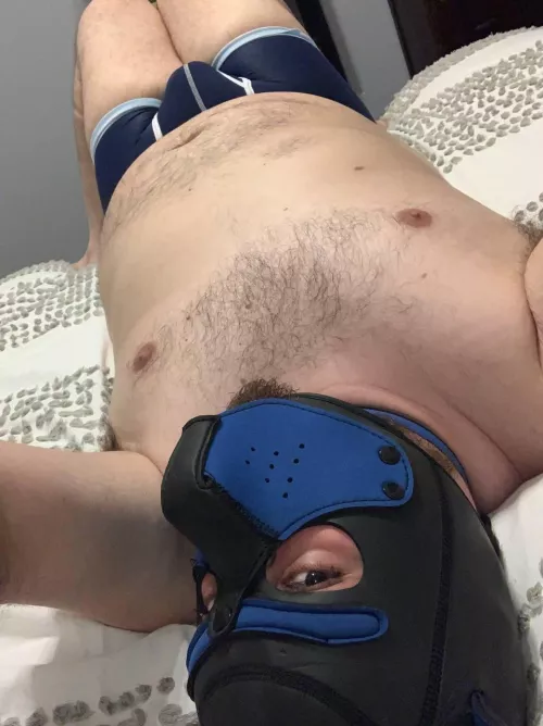 An eager pup just looking for some head scratches.