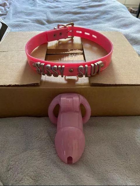 Are you ready to stay locked 🔐 up in chastity 24/7