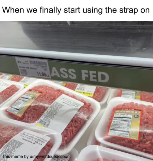 Ass Fed