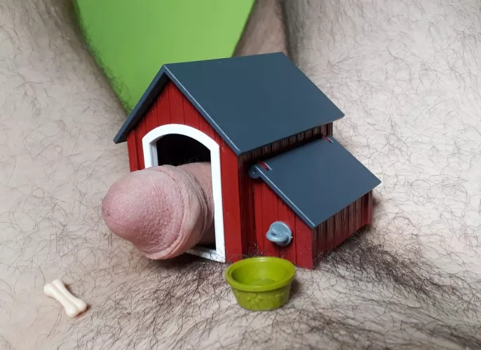 Bello sleeping in his doghouse