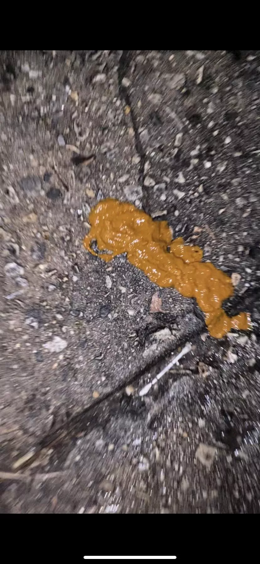 For the streets. Dm me for video access