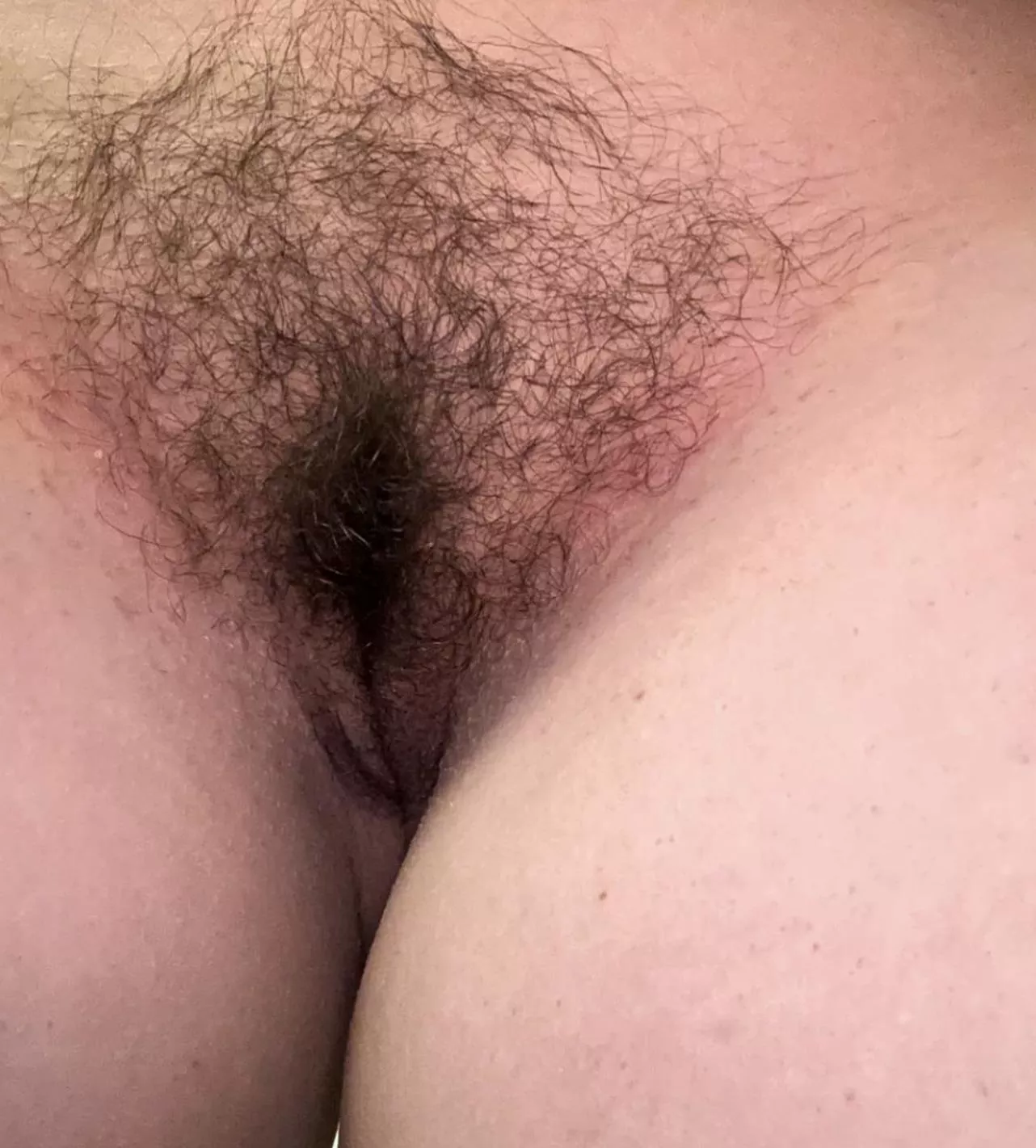 Fresh trimmed bush. Who wants to put their face in it?