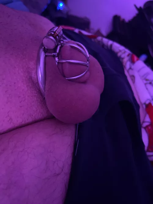 Good morning from this small cock