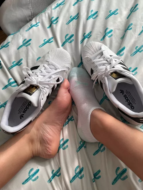 Hrm socks or barefoot today? 🤷‍♀️